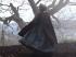 Mroczne losy Jane Eyre