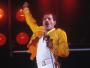 Freddie Mercury