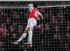 Robin van Persie przyćmił Lewandowskiego. Zobacz gole