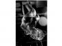 photography.rue99.com