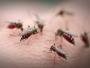 Malaria ciągle zabija podróżnych