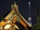 Nie boi się tsunami i trzęsień ziemi. Nowa chluba Japonii