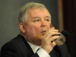 PiS pił za wygraną