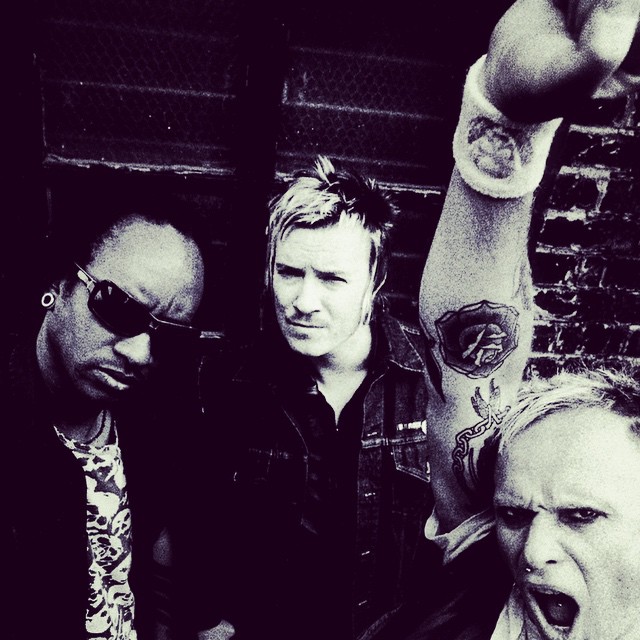 the prodigy discography download torent